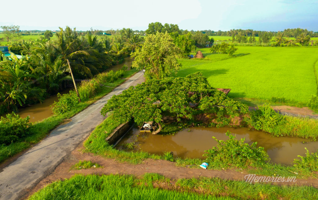 Cảnh đẹp bến tre được chụp từ flycam của Trần Hùng Anh, một bạn đam mê nghiếp ảnh của nhóm Memories.vn