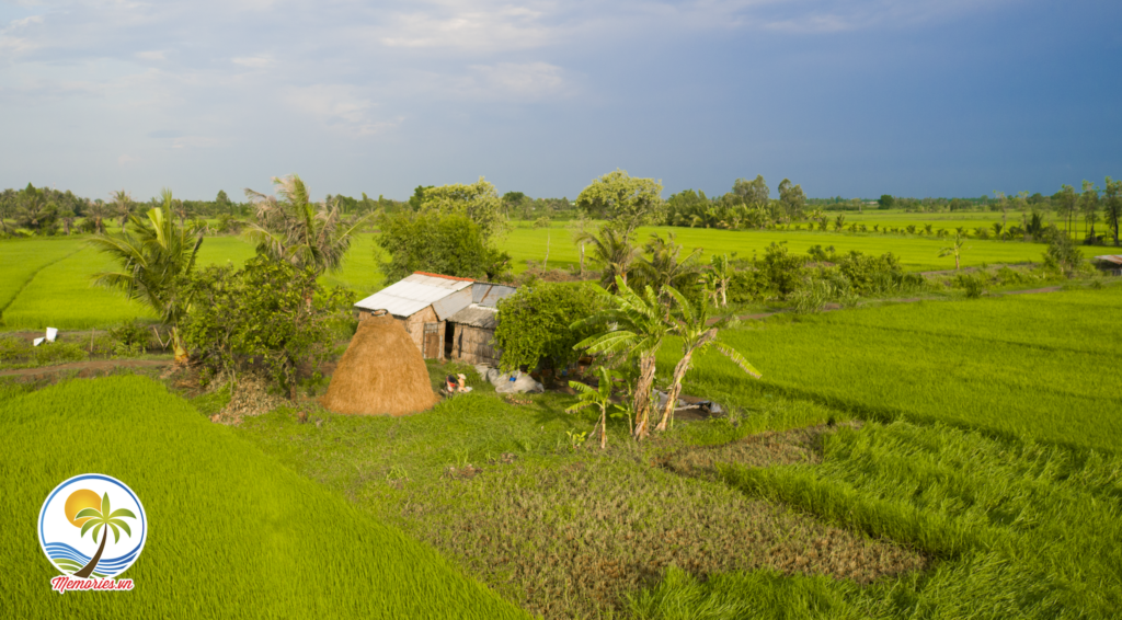 Phong cảnh sông nước hữu tình với những cây dừa tại Vàm Đồn, Bến Tre Cảnh đẹp bến tre được chụp từ flycam của Trần Hùng Anh, một bạn đam mê nghiếp ảnh của nhóm Memories.vn