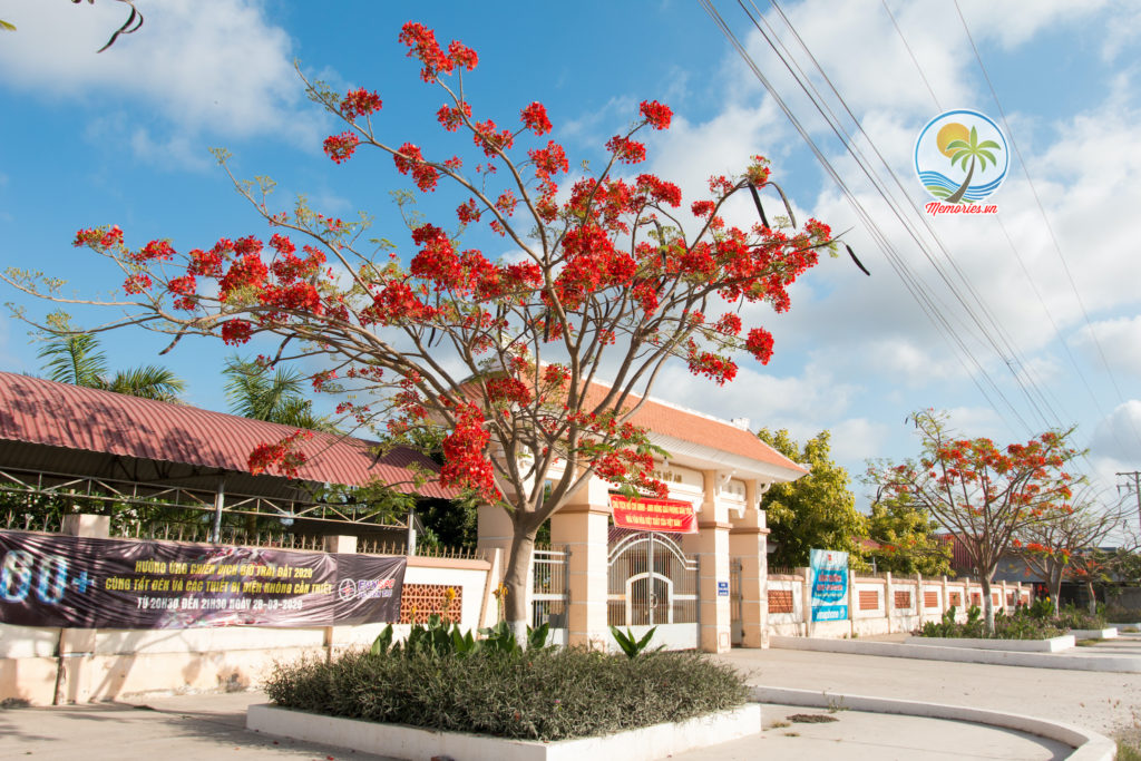 Cảnh đẹp bến tre được chụp từ flycam của Trần Hùng Anh, một bạn đam mê nghiếp ảnh của nhóm Memories.vn