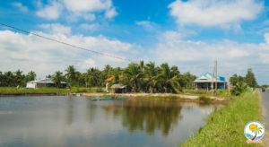 Phong cảnh sông nước hữu tình với những cây dừa tại Vàm Đồn, Bến Tre Cảnh đẹp bến tre được chụp từ flycam của Trần Hùng Anh, một bạn đam mê nghiếp ảnh của nhóm Memories.vn