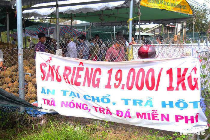Sầu Riêng được bán với giá 19.000 đồng/kg gây sốt thời gian qua